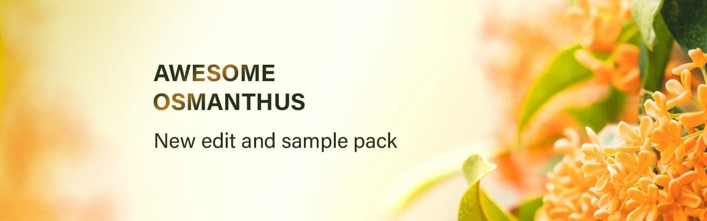 Bloom Perfumery