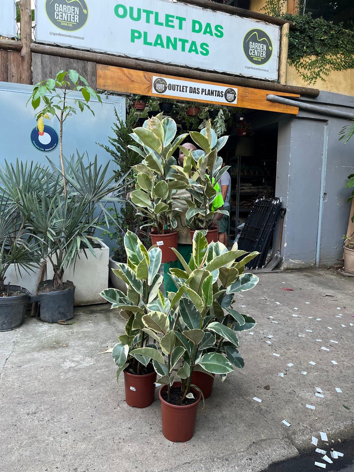 Garden Center Zona Sul