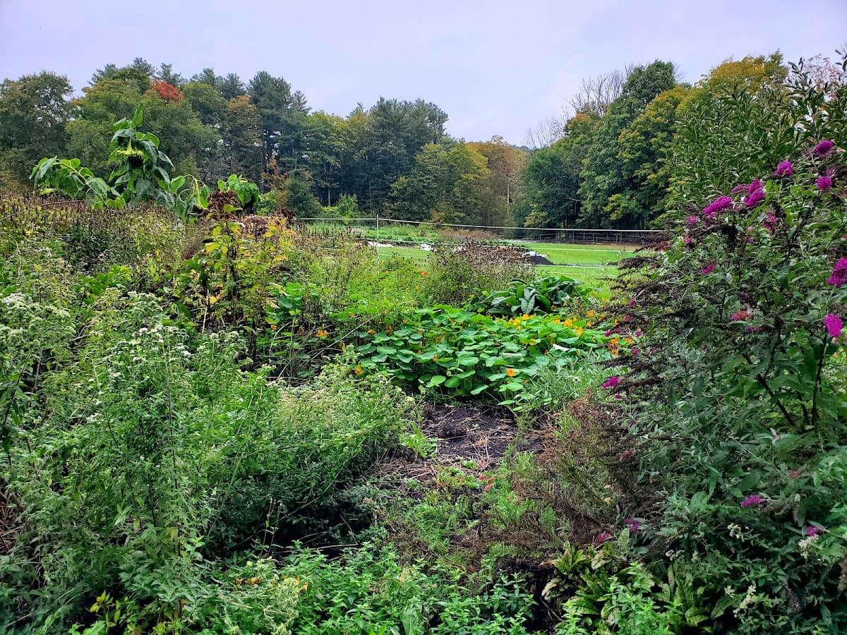 Late Bloom Farm