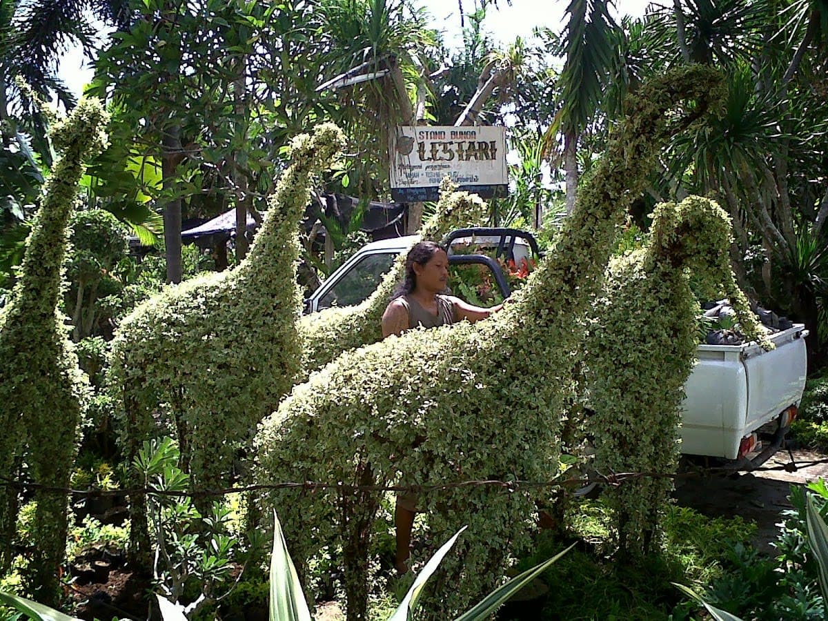 Lestari Garden Nurseries