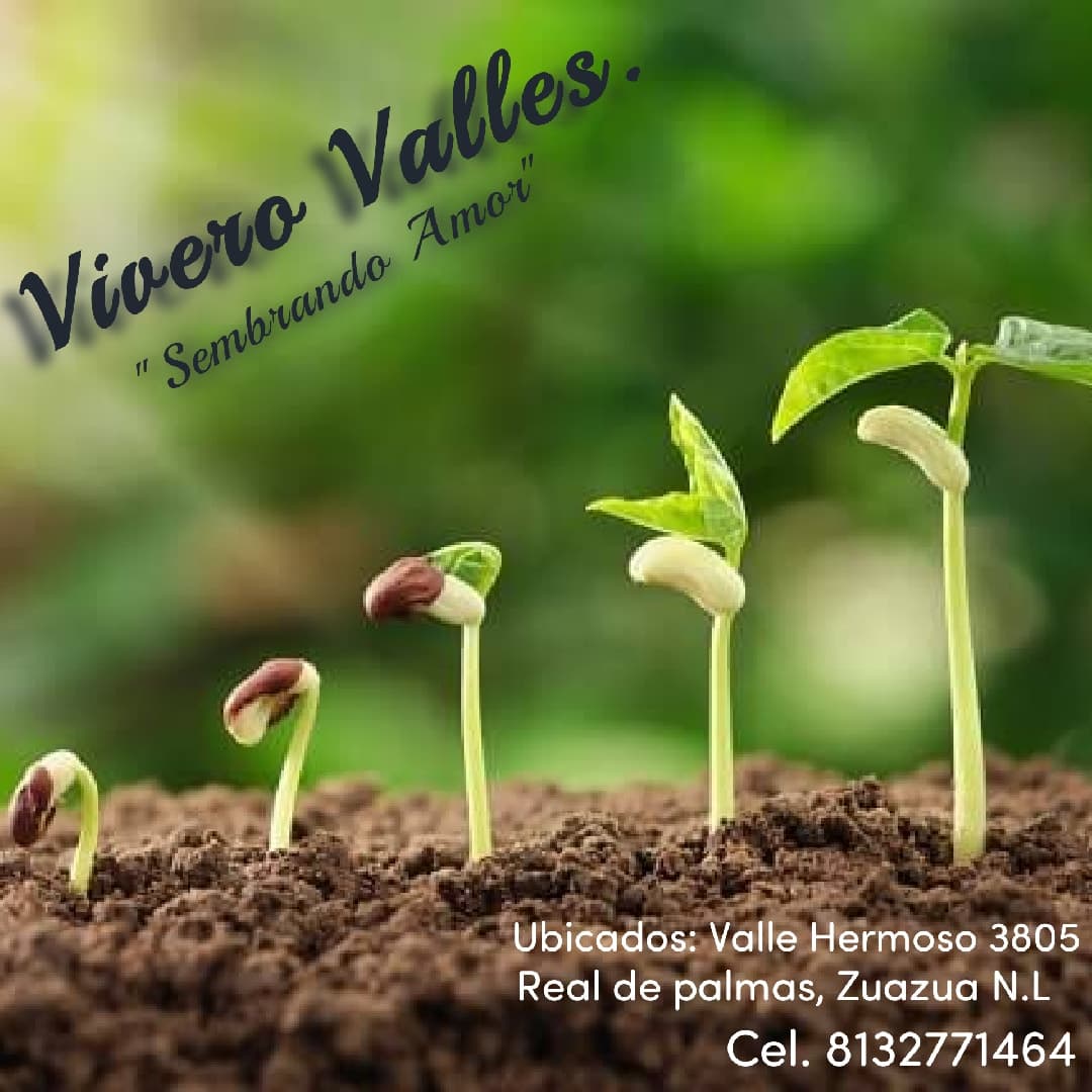 Mini vivero valles