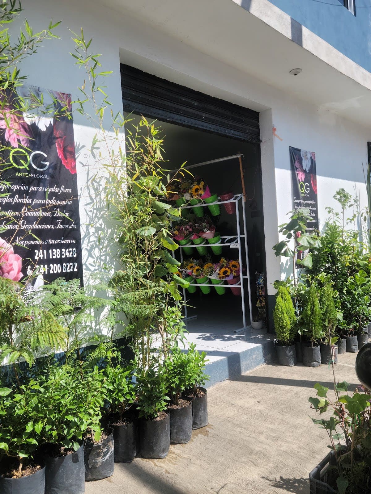 Pétalos de amor flower shop