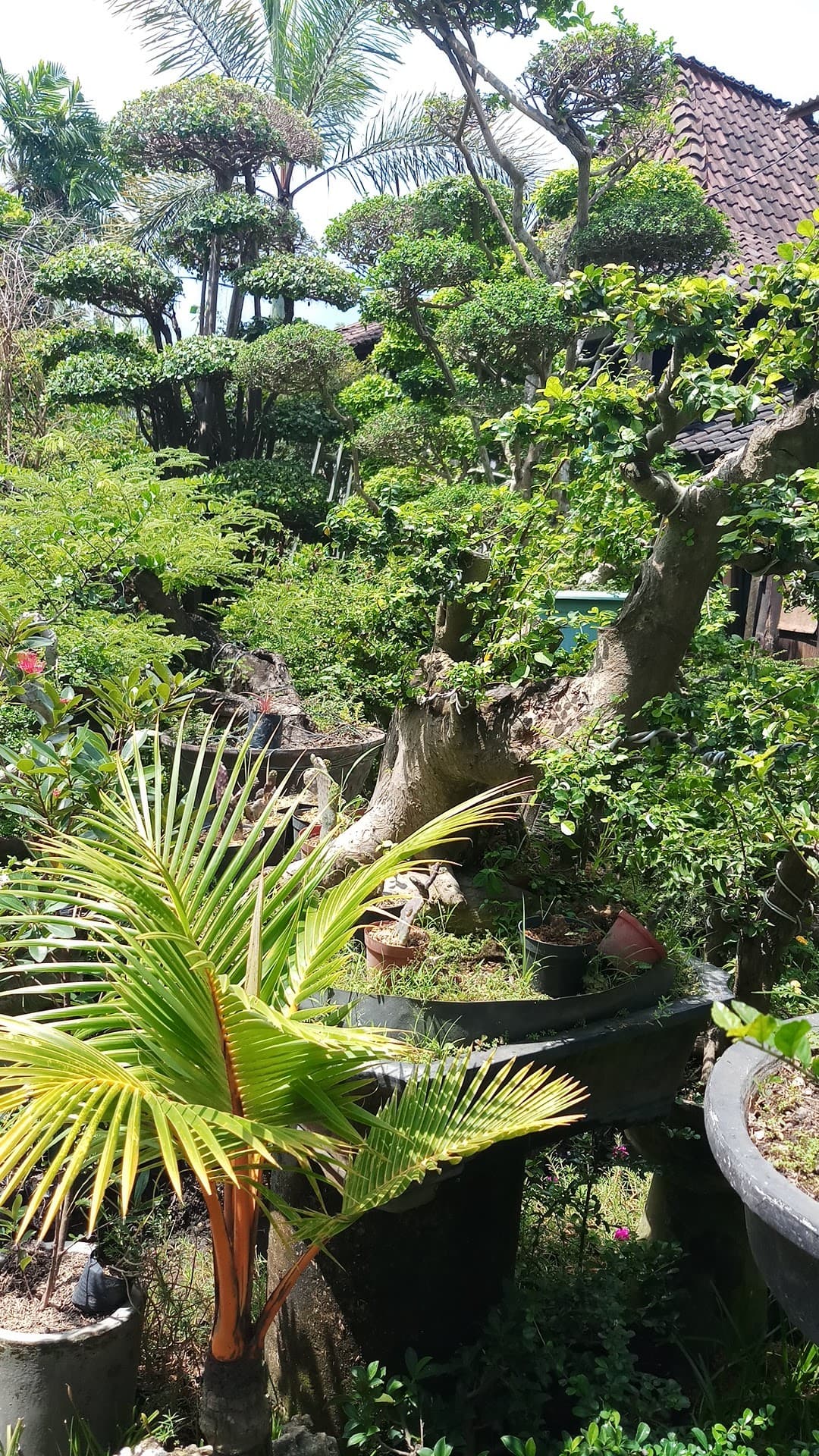 Soka indah garden