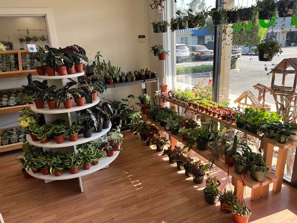 The Foliage Room