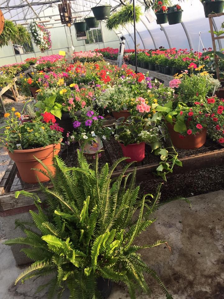Welp Farm & Greenhouse