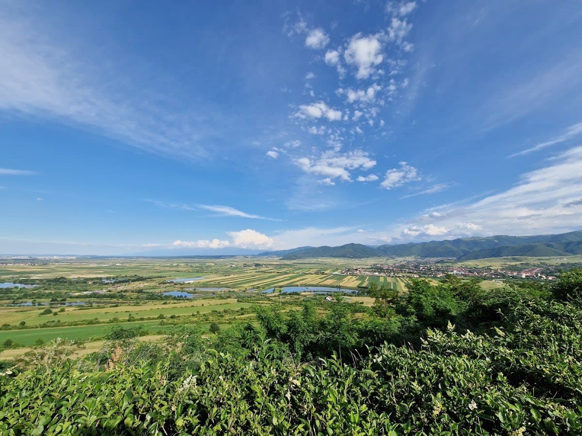 Domeniul Salgo