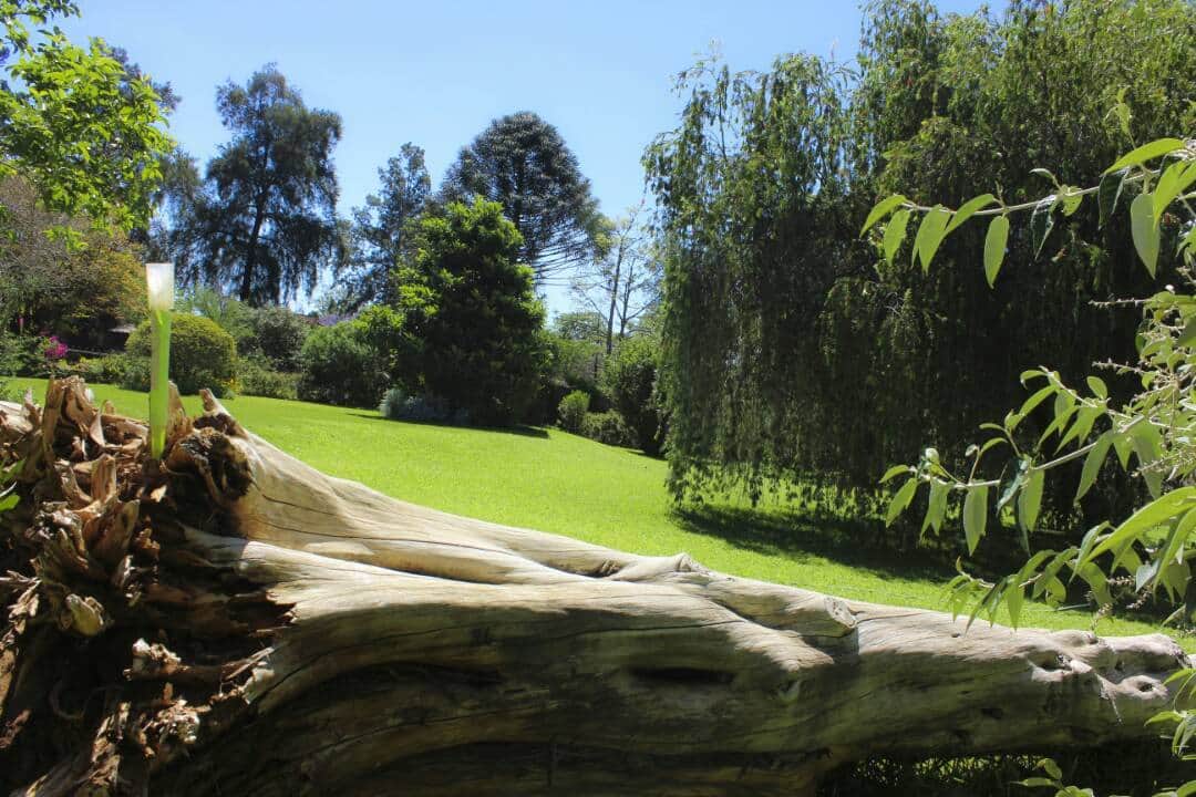 Lavinia Gardens