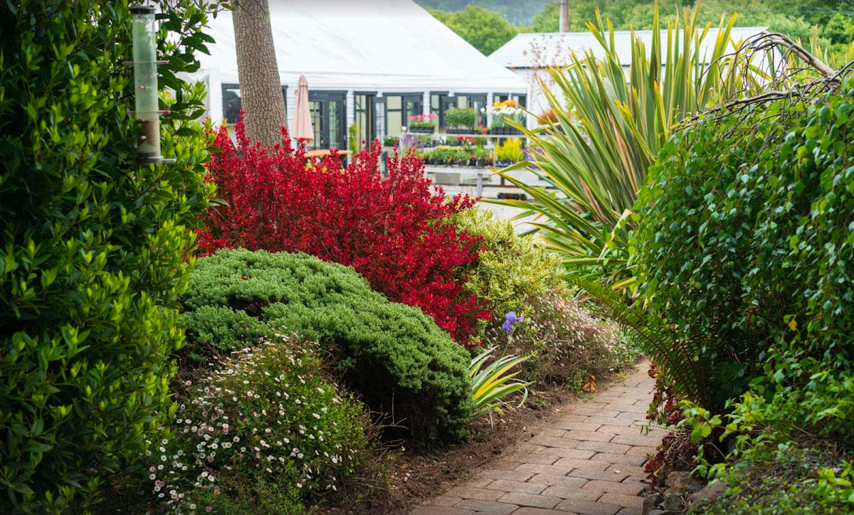 Umbrella Farms