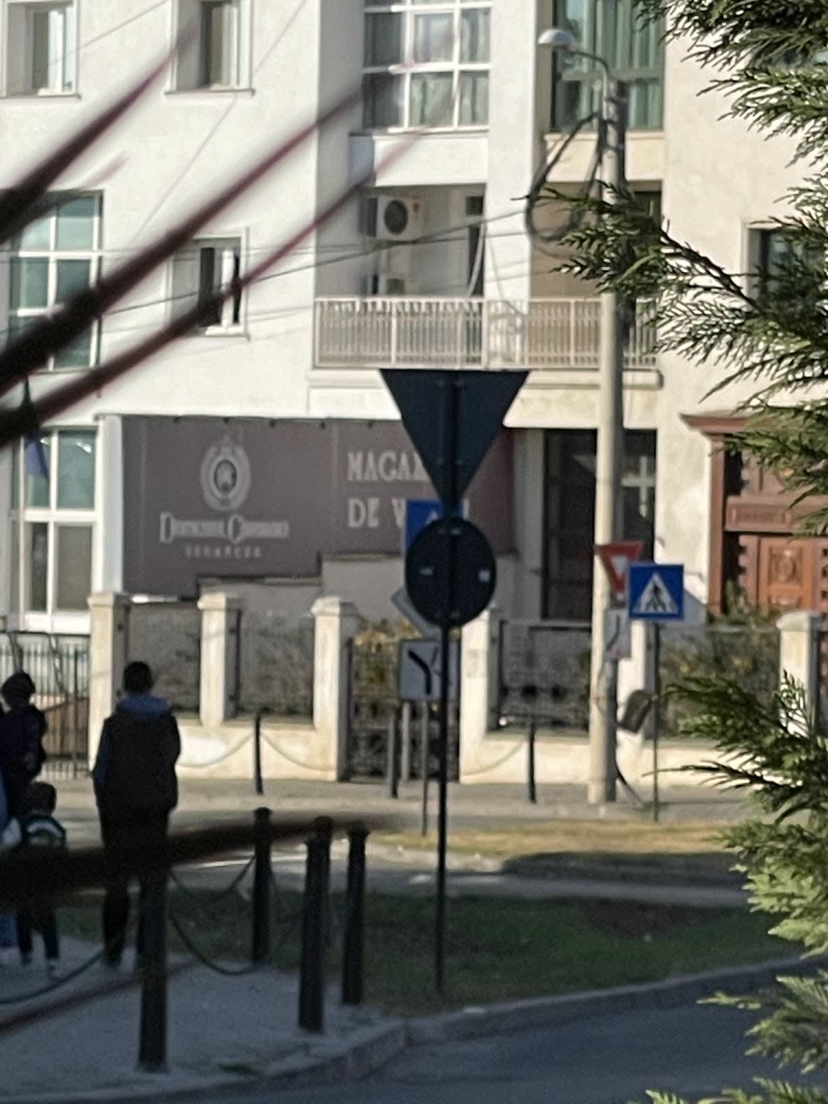 Domeniul Coroanei Magazinul de Vinuri Craiova