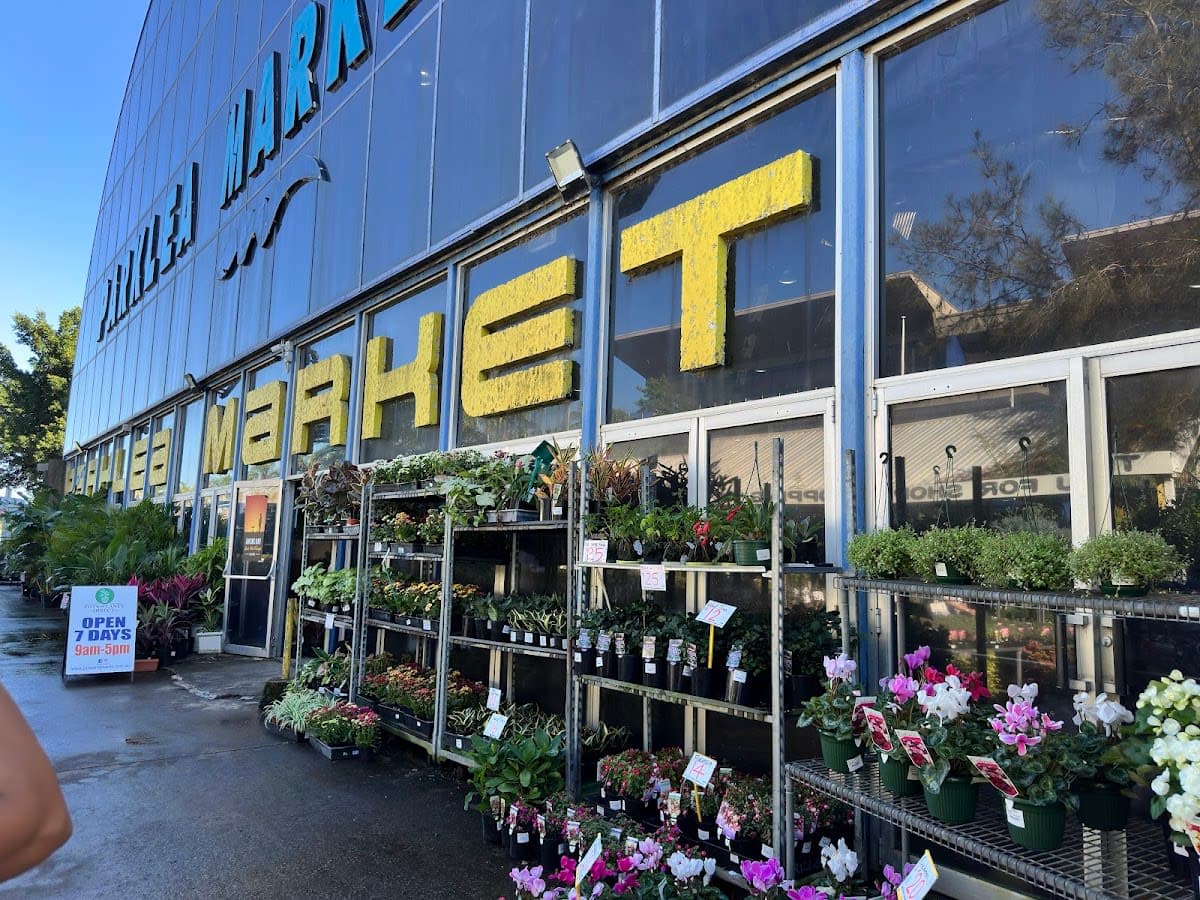 Pots and Plants Direct
